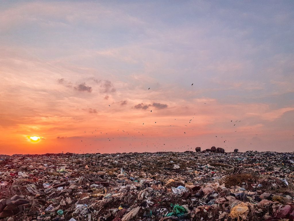 trash, trash land, trash dump-4897847.jpg